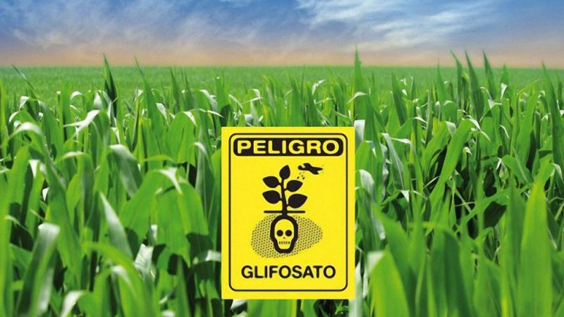 Torna a crescere l’uso di pesticidi in agricoltura