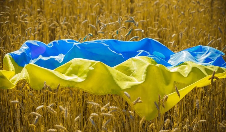 Società Americane hanno comprato 17 milioni di ettari in Ucraina.